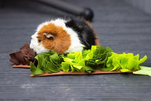 Load image into Gallery viewer, Christmas Tree Snuffle Forage Mat