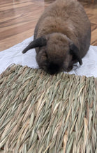 Load image into Gallery viewer, Chill 'N' Scratch Mat - Bulrush