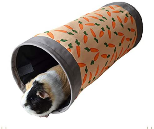 Carrot Fabric Tunnel